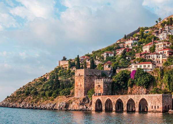 alanya trees