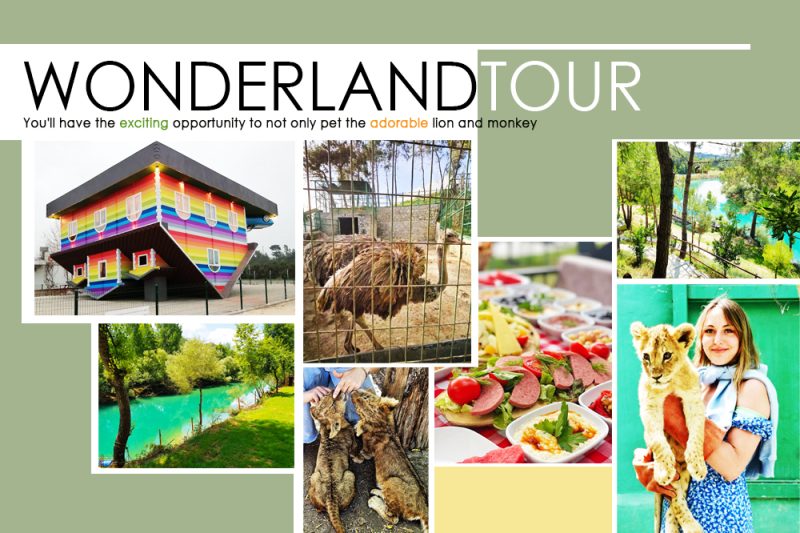 wonderland tour